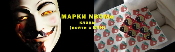 ешки Вяземский